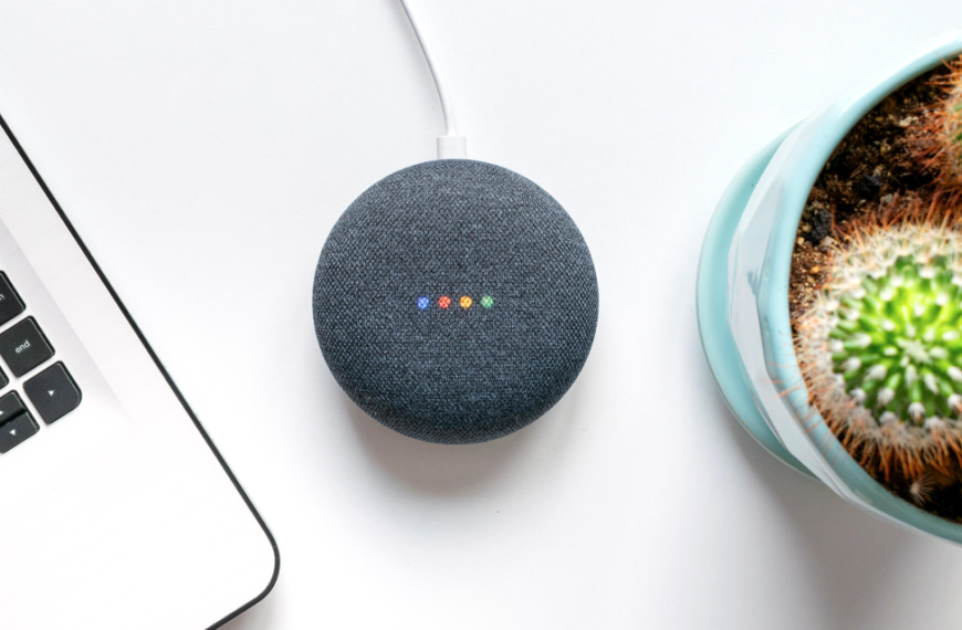 Voice Assistants in Daily Life